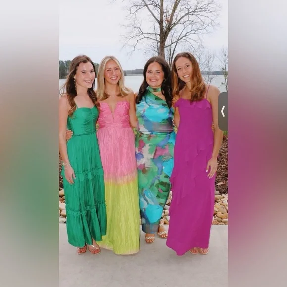 NWT ANTONIO MELANI Seraphina Ombre
Sweetheart Neck A-Line Maxi Dress Size 10, 8 - Picture 6 of 16